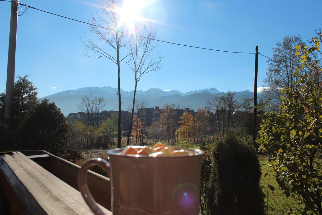 Pokoje Goscinne Pod Lipa Zakopane Exterior foto